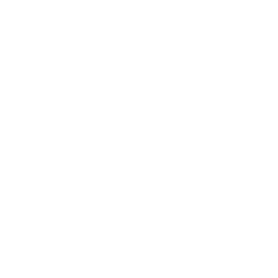 DRT Bids